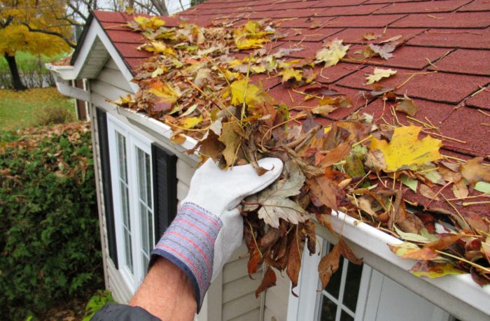 Comprehensive Gutter Cleaning Services in Findlay and Fostoria, OH